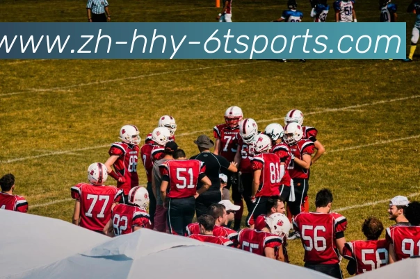 App Interface Preview